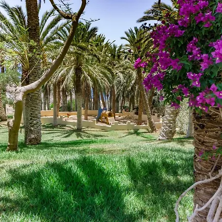 3 Suitebeds Spectacular View Costa Adeje Wifi Апартаменты
